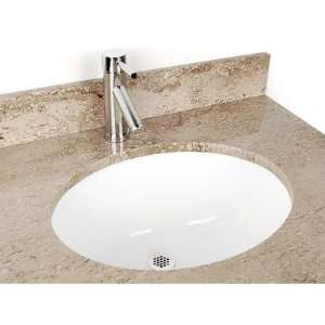   DV H109 Large Oval China Bathroom Sink Color: White: Everything Else