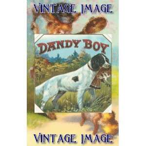 Clear Window Cling 6 inch x 4 inch (14 x 10cm) Dogs Dandy Boy Vintage 