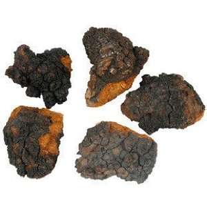   CHAGA Mushroom/Birch Tinder Fungus/Diabetes