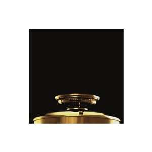Ceiling Fan Adapter for Low Ceilings Finish: Bright Brass:  