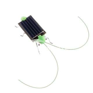Solar Power Educational Toy Grasshopper Green Science  