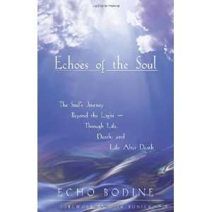  Echoes of the Soul The Souls Journey Beyond the Light 