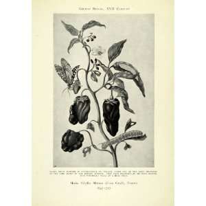   Butterfly Garden Slug   Original Halftone Print: Home & Kitchen