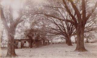  Card/ Slave Huts/Heritage Plantation/Savannah GA c.1875/Marked reverse