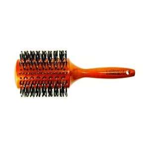 Luxor Citrus Collection   Porcupine Vented Boar Brush/ XXL 4 (B36XXL)