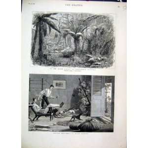   1881 Indian Sketches State Forest Dandenong Australia: Home & Kitchen