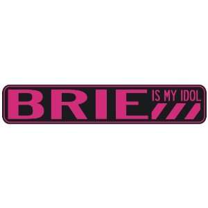   BRIE IS MY IDOL  STREET SIGN