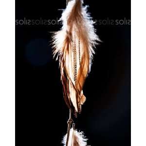 Tribal Collective   Pcs Broche De Metal Feather Hair Clip in Brown ZHR 