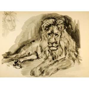  1944 Print Ernst Denzler Wildlife Watercolor Art Lion 