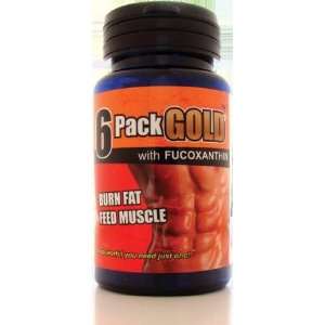  6 pack Gold with fucoxanthin   burn fat feed muscle 