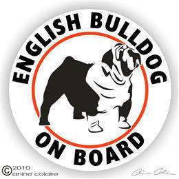 ENGLISH BULLDOG ON BOARD Auto Window Decal Sticker 124  