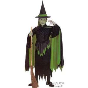  Childs Wizard of Oz Wicked Witch Costume (Size Large 12 
