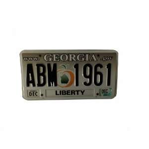   .Gov grey background black numbers License Plate: Everything Else