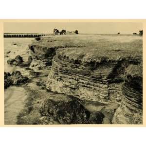  1927 Shore Hallig Oland Halligen Germany Photogravure 