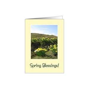 Seasons   Spring, Daffodils Card