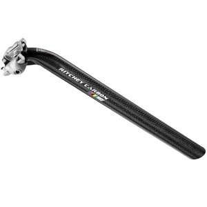   : Ritchey WCS 1 Bolt Carbon 300mm/25mm Offset 27.2: Sports & Outdoors