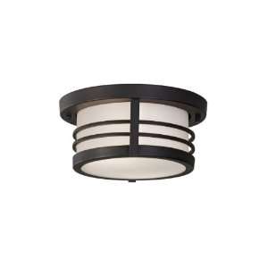  Carbondale 11 Dark Chocolate Outdoor Ceiling Light: Home 