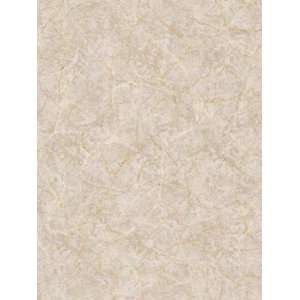  Wallpaper Steves Color Collection   All BC1581925: Home 