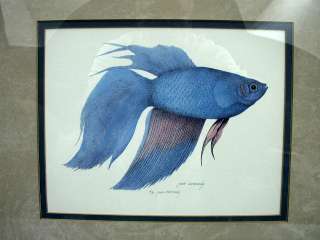 Pair Jean Cassady Framed Siamese Fish   Artist Proofs  