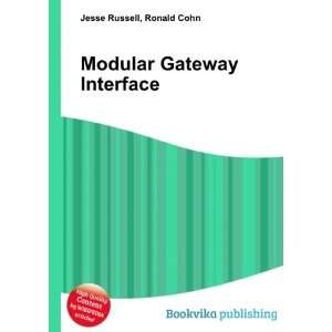   Gateway Interface Ronald Cohn Jesse Russell  Books