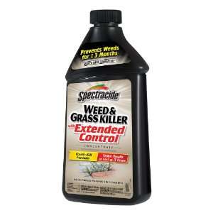  Spectracide 32 Oz. Weed and Grass Killer HG 95963 Patio 