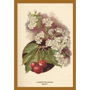  Cherry Blossom Fruit 16X24 Canvas Giclee: Home & Kitchen