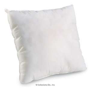  Square Throw Pillow Form 
