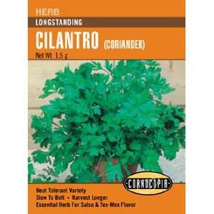  Cilantro Longstanding (Coriander) Seeds Patio, Lawn 