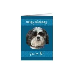  Birthday, 8th, Shih Tzu Dog Card: Toys & Games