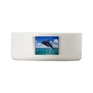  Dog Cat Food Water Bowl Dolphins Singing 