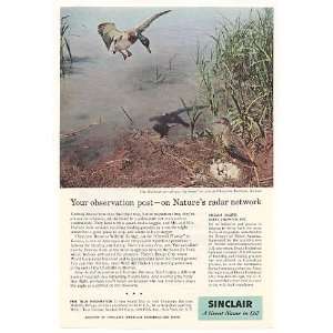   Mallards Cheyenne Bottoms Kansas Sinclair Oil Print Ad