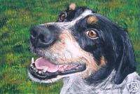 4x6 Commissioned Pet Portrait Painting Any Animal OSWOA  