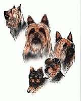 Dog (Var.Breeds) Foam Coasters~By Laura Rogers~NEW  
