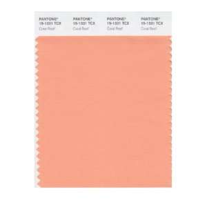   PANTONE SMART 15 1331X Color Swatch Card, Coral Reef: Home Improvement