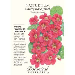  Cherry Rose Jewel Nasturtium Seeds   3 grams Patio, Lawn 