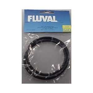  Fluval Replacement Motor Seal O Ring for Fluval 104/204: Pet Supplies