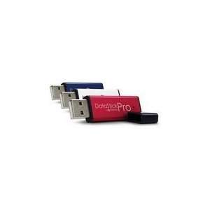  DATASTICK PRO 3PACK 2GB USB FLASH DRIVES: Electronics