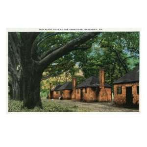 Savannah, Georgia, View of the Old Slave Huts at the Hermitage Giclee 