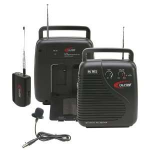    Wireless Battery Powered PA Pro System: Musical Instruments