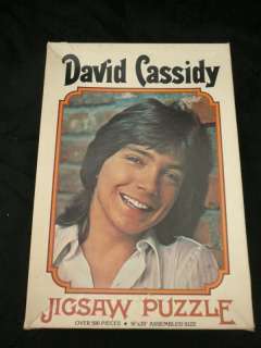 1972 David Cassidy Jigsaw Puzzle 500 Pieces 16 x 20  