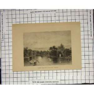  View In Hague Wood River Swans Boat Antique Print