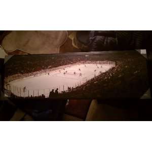  Awesome New York Rangers NHL Panorama Picture Playing at 