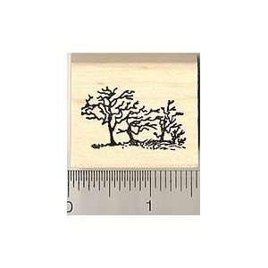  Tiny Trees Rubber Stamp Arts, Crafts & Sewing