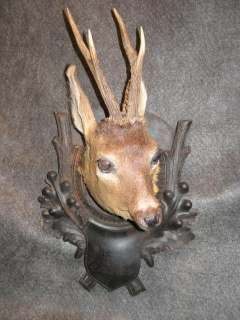 Victorian Vintage German Black Forest Roe Deer Head Carved Plaque 