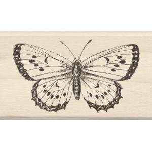  Inkadinkado Wood Stamp, Big Butterfly: Arts, Crafts 