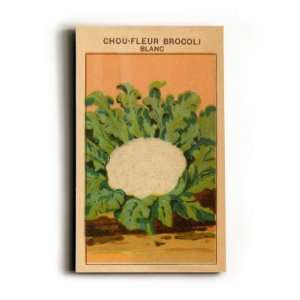  French Cauliflower Broccoli Seed Packet , 12x8