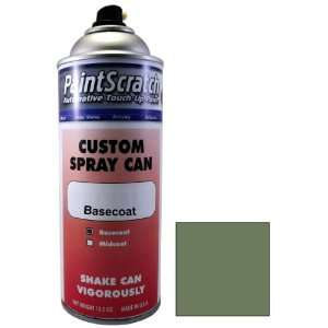 12.5 Oz. Spray Can of Aberdeen Green Metallic Touch Up Paint for 2007 