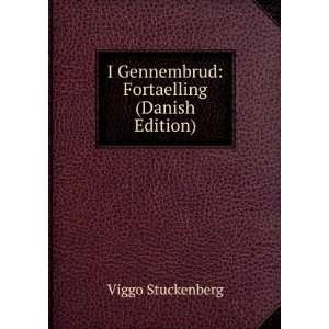    Fortaelling (Danish Edition) Viggo Stuckenberg  Books