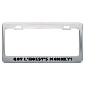   Monkey? Animals Pets Metal License Plate Frame Holder Border Tag