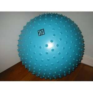   Total Fitness Pilates 20 Ball with Massage Action: Everything Else
